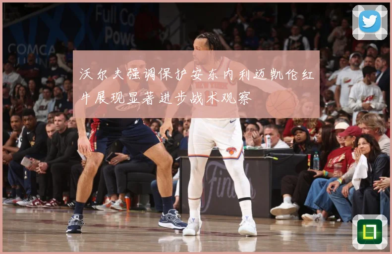 沃尔夫强调保护安东内利迈凯伦红牛展现显著进步战术观察