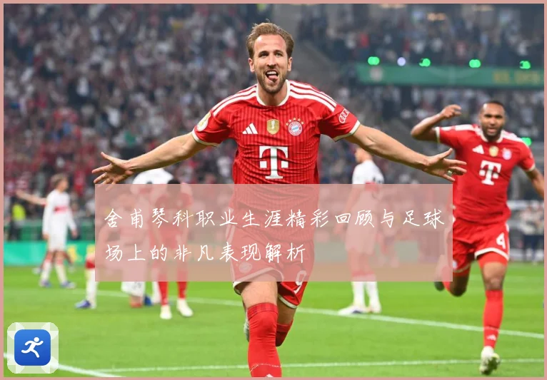 舍甫琴科职业生涯精彩回顾与足球场上的非凡表现解析