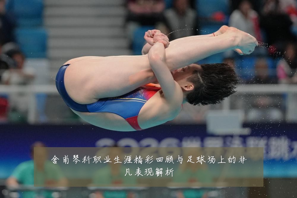 舍甫琴科职业生涯精彩回顾与足球场上的非凡表现解析